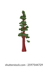 Vector illustration of a tall redwood tree with a red trunk and green leafy branches.