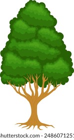 Ilustración vectorial de un árbol alto con follaje verde denso y un tronco robusto. Ideal para diseños de temática natural y recursos educativos.