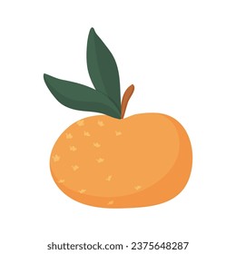 Vector illustration with a tangerine, clementine