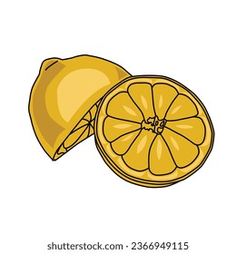 vector illustration Tangerine orange fruit and cut in half sliced isolated on white background.