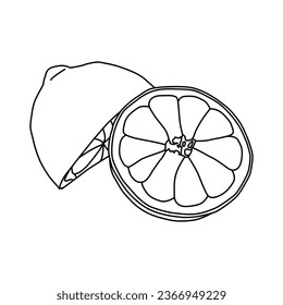 vector illustration Tangerine orange fruit and cut in half sliced isolated on white background.