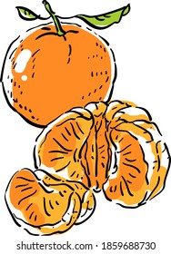Ilustración vectorial con tangerina, un trozo de mandarina
