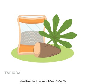 Vector illustration of tapioca. Food additive on a white background.