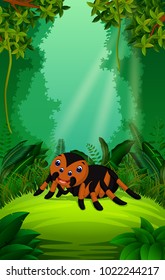 vector illustration of tarantula in the clear and green forest