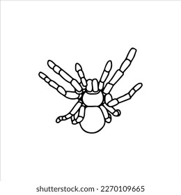vector illustration of tarantula spider