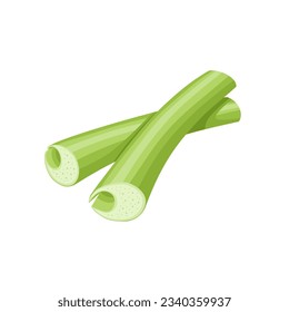 Vector illustration, taro stem, isolated on white background.