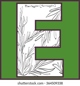 Vector illustration of tarragon (estragon)  inside of letter E. Limited colors graphic. Hand drawing.