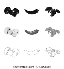 Vector illustration of taste and product logo. Set of taste and cooking stock symbol for web.