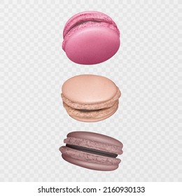 Vector illustration of Tasty colorful french macaron, realistic macaron on light background