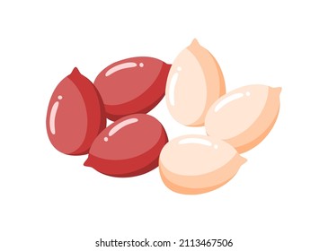 vector illustration of tasty peanut on a white background