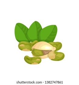 vector illustration with tasty ripe pistachios