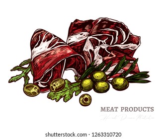 Vector illustration of tasty slices of meat, smoked pork or spanish jamon with olive, greenery and salad. Hand drawn colorful sketch engraving style