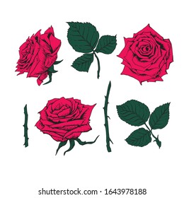 Vector illustration. Tattoo style Grunge Rock And Roll Fashion. Textile fabric design. Classic red rose.