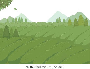 Vector illustration of tea field Landscape.