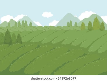 Vector illustration of tea field Landscape.