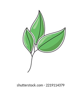 Vector illustration of a tea leaf. Isolated on white background