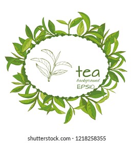 vector illustration with tea logo, hand-drawn leaves and branches of tea
