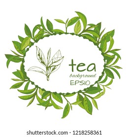 vector illustration with tea logo, hand-drawn leaves and branches of tea