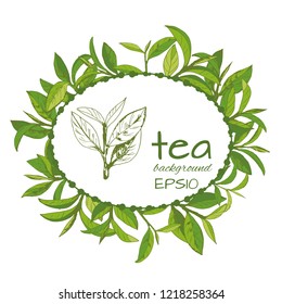 vector illustration with tea logo, hand-drawn leaves and branches of tea