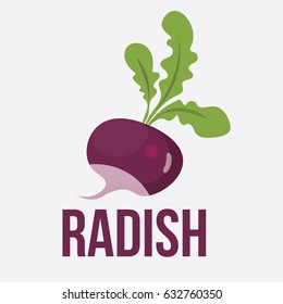 Vector illustration for teaching children the English alphabet with cartoon fruit,vegetables and objects. "R" letter. Radish. School card