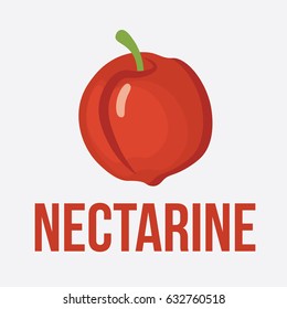 Vector illustration for teaching children the English alphabet with cartoon fruit,vegetables and objects. "N" letter. Nectarine. School card