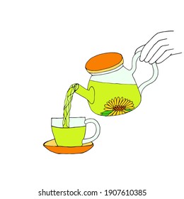 Vector illustration with teapot and tea on a white background. Tea drinking.