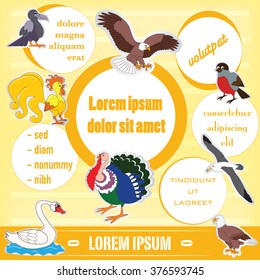 Vector illustration of template for advertising brochure with stickers of cartoon birds. Yellow background