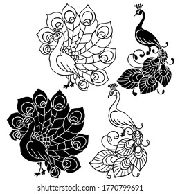 vector illustration, template in black, tattoo, peacock pattern, tropical bird, isolate on a white background