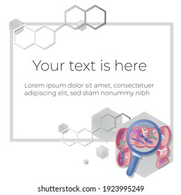 Vector Illustration Template, Frame Layout For Slide Design, Presentation, Title Page, Introduction, Home Page. Chemical Structure Is Depicted. Image Shows Intestine With Microflora Bacteria Inside.