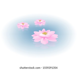 Vector illustration template Lotus flowers on clear blue water