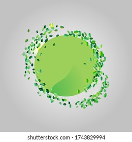 Vector illustration of a template with oak leaves. Isolated branches with green foliage. Fully editable design. Blank for logo, summer card, card, banner, print, sticker.