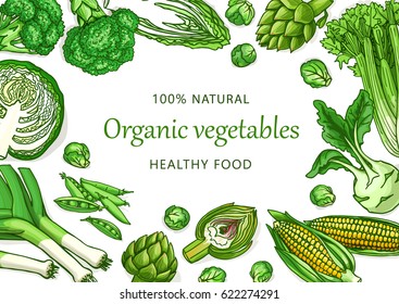 Vector illustration template with organic vegetables on white background. Sketchy vector concepts for design. Healthy food background for organic market, farm, smoothie bar, eco food restaurant.