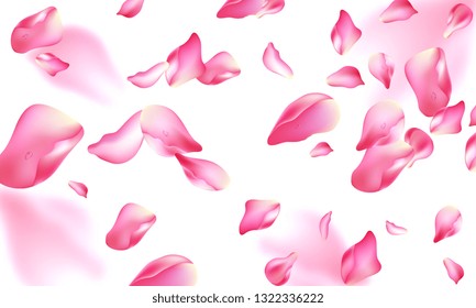 Vector illustration. Template vector the rose petals. Typography vector design for greeting cards and poster with flying rose petals.