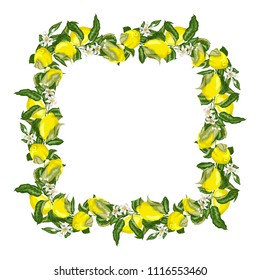 Vector illustration template square frame wreath with citrus fruit tree branch with lemon fruits, flowers and leaves in bright colors