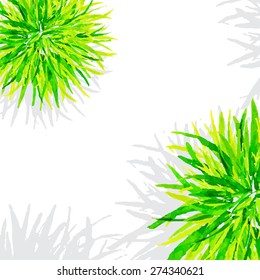 Vector illustration. Template watercolor green grass on a white background.