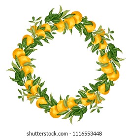 Vector illustration template wreath with citrus fruit tree branch with fruits and leaves in bright colors