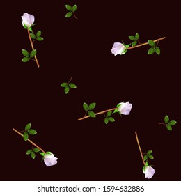 Vector illustration of tender pink roses on a dark background. Template for cover, web design, can be used as seamless.