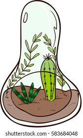 Vector illustration of a terarium