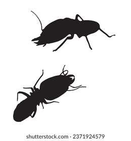 Vector Illustration of Termite Art Silhouette