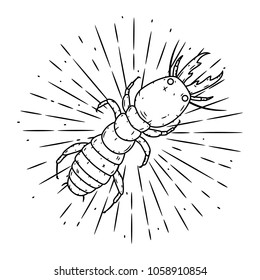 Vector illustration with termite and divergent rays. Used for poster, banner, web, t-shirt print, bag print, badges, flyer, logo design and more.  Vector Ant.