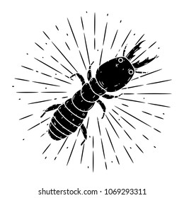 Vector illustration with termite and divergent rays. Used for poster, banner, web, t-shirt print, bag print, badges, flyer, logo design and more.  Vector Ant.