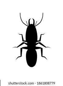 Vector illustration of termite icons on white background