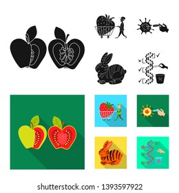 Vector illustration of test and synthetic icon. Set of test and laboratory vector icon for stock.