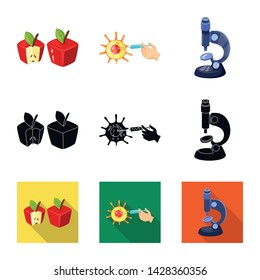 Vector illustration of test and synthetic icon. Collection of test and laboratory stock symbol for web.