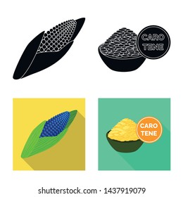 Vector illustration of test and synthetic icon. Collection of test and laboratory stock symbol for web.