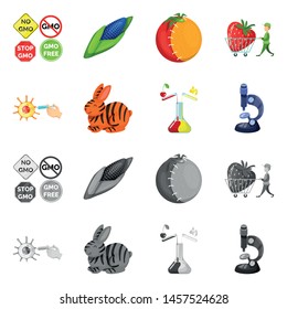 Vector illustration of test and synthetic icon. Set of test and laboratory stock symbol for web.