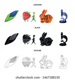 Vector illustration of test and synthetic icon. Set of test and laboratory stock vector illustration.