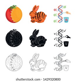 Vector illustration of test and synthetic logo. Set of test and laboratory stock symbol for web.