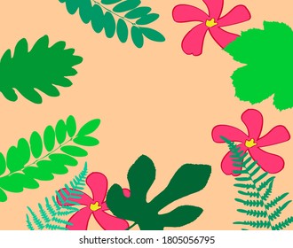 Vector illustration  for text - background with plants and leaves 
