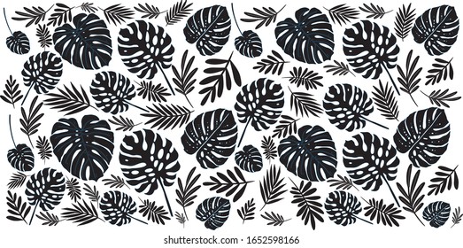 Vector illustration of texture background. Botanical design and print for background, greeting card, print on t-shirts.Monstera flower design